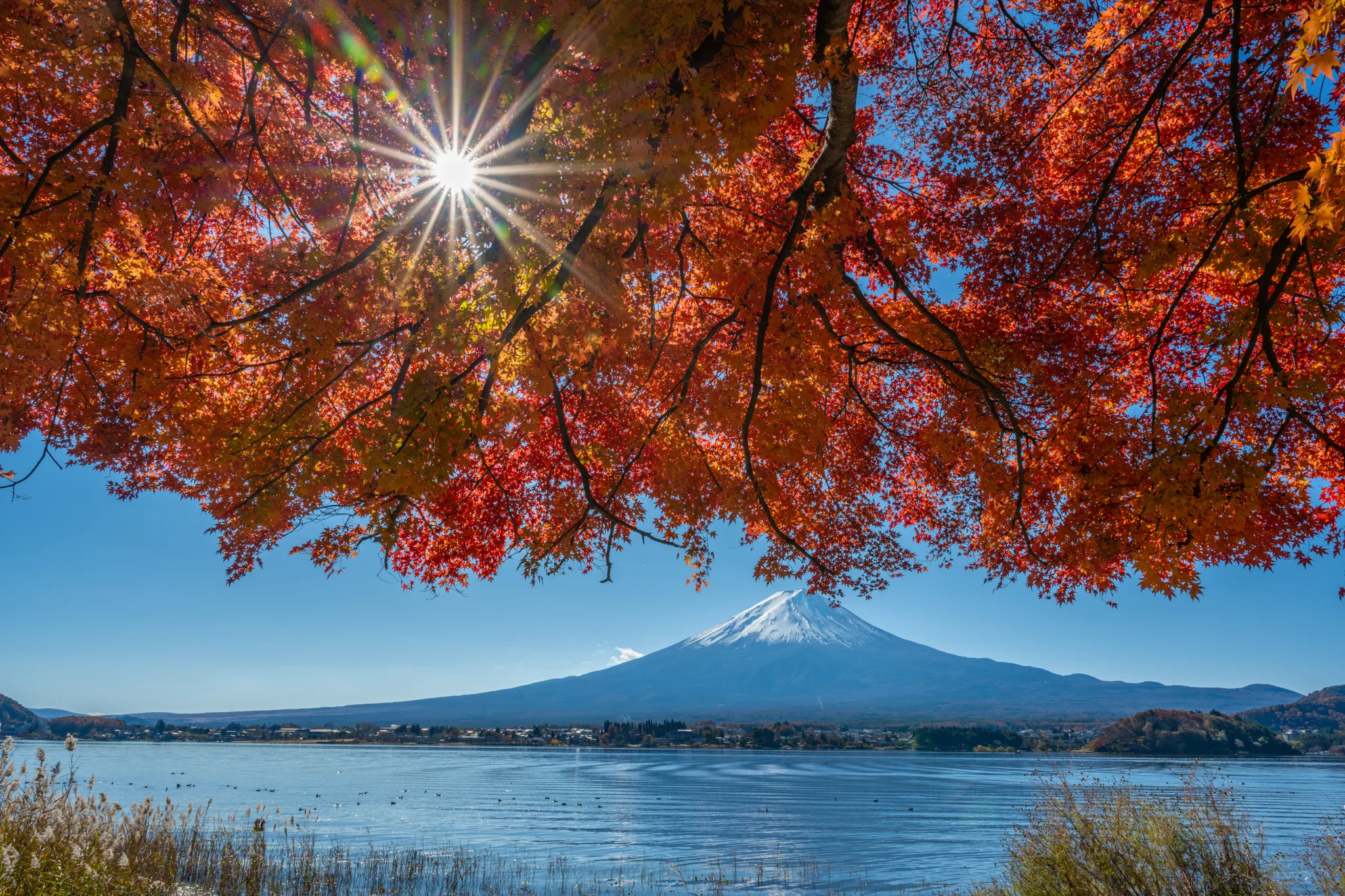 AUTUMN / MT. FUJI
