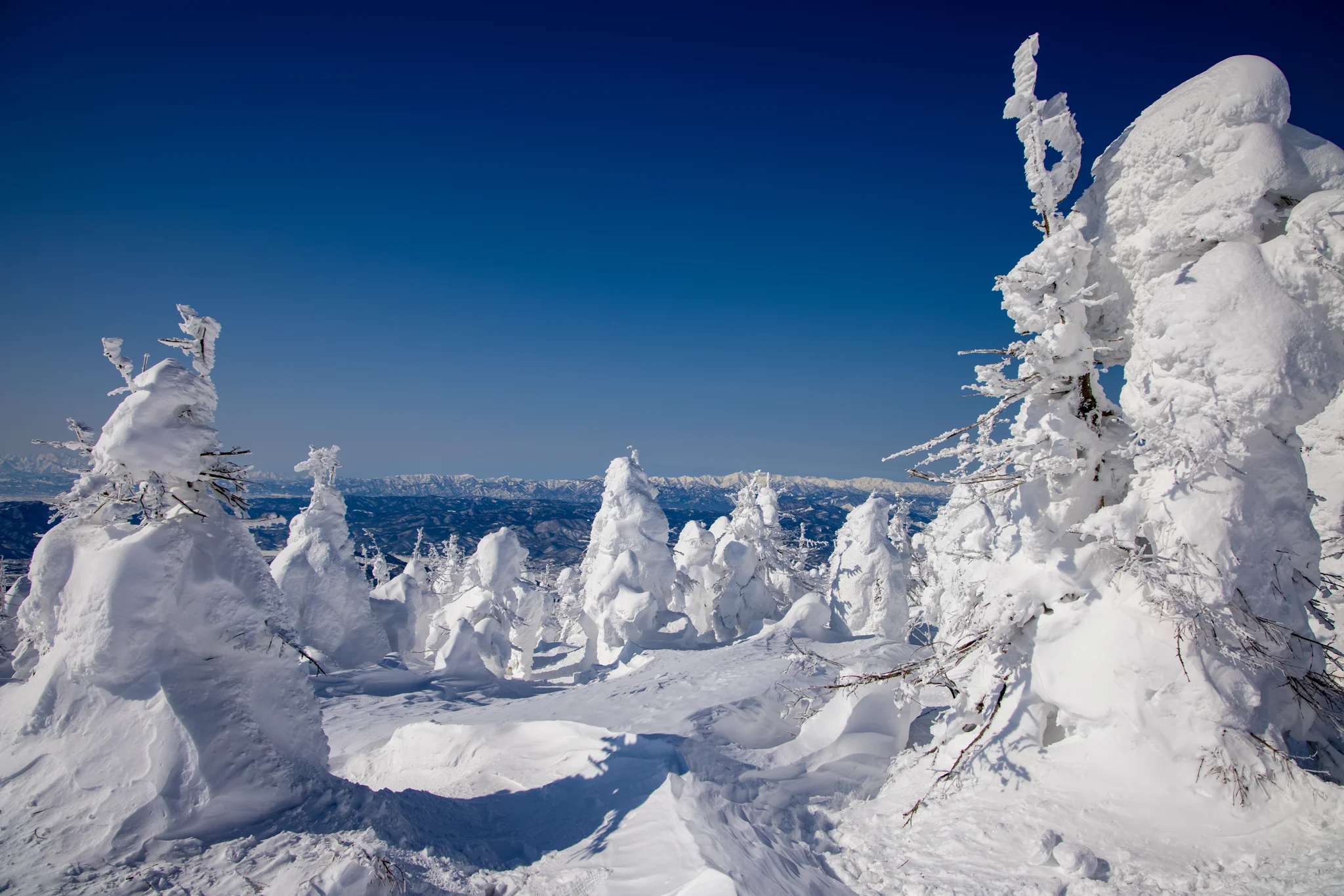 WINTER / SNOW MONSTERS