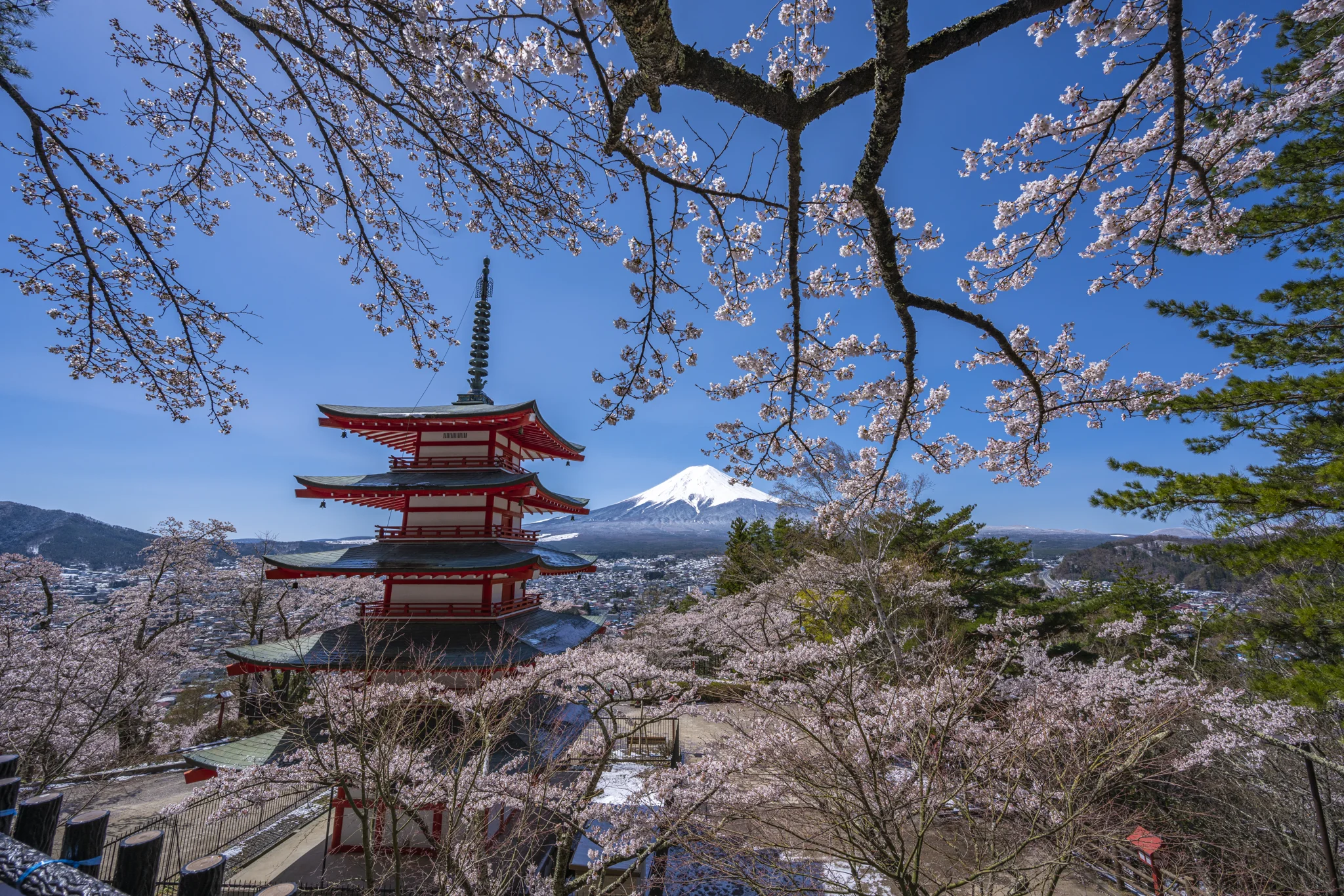 SPRING / MT. FUJI
