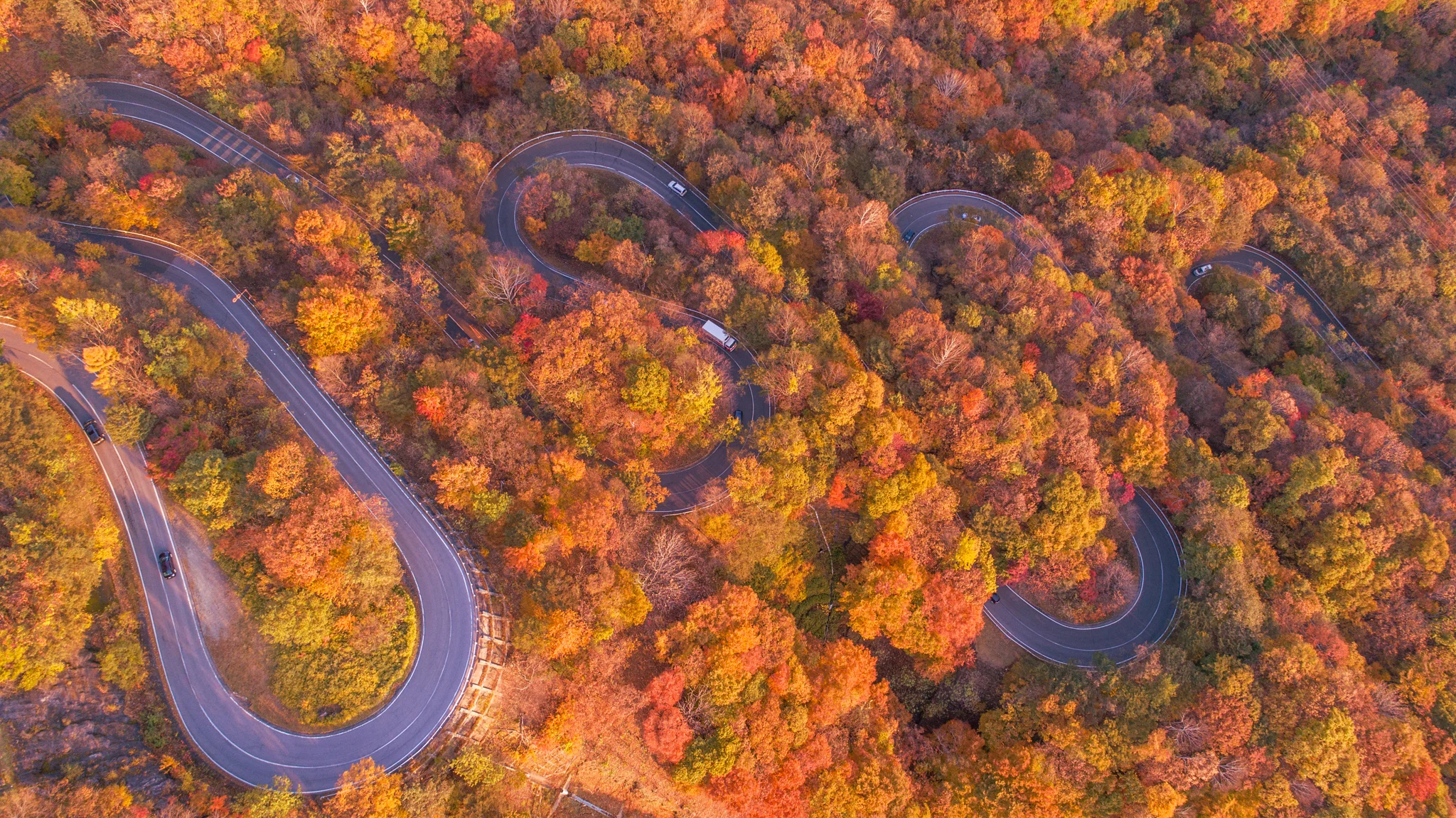 AUTUMN / AERIAL