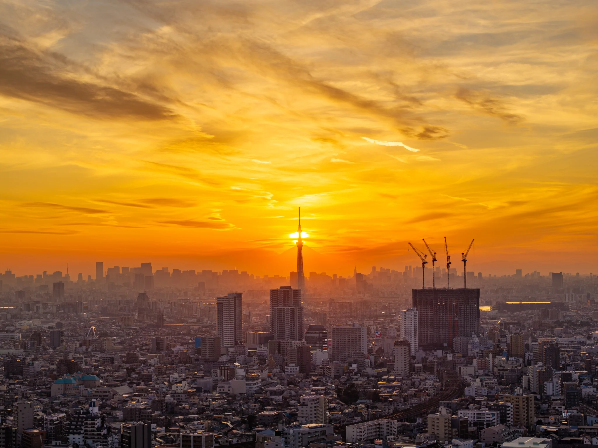Tokyo Skytree aligned with the setting sun above the city