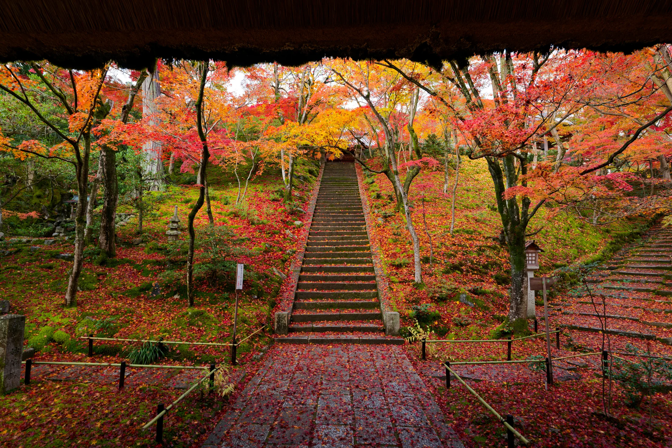 京都・常寂光寺
